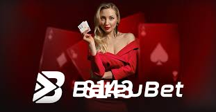 8143 - Plataforma Oficial Online -8143.Com
